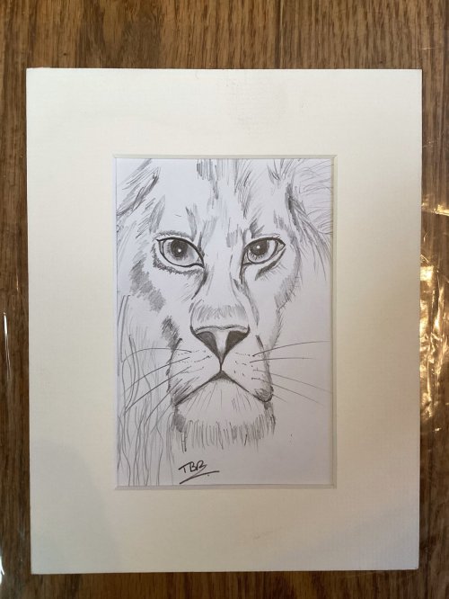 The King of  the Jungle